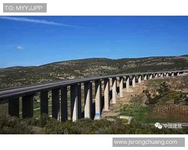 塞内加尔与阿尔及利亚激战正酣比分结果揭晓引发热议 塞内加尔与阿尔及利亚激战正酣比分结果揭晓引发热议